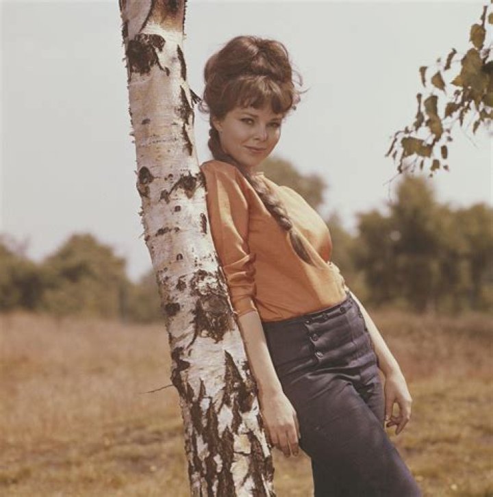 Anne Helm Bio, Wiki, Age, Height, Married, Actress, Movies and Net Worth