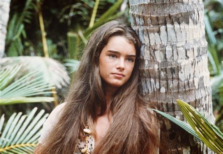 Brooke Shields Bio, Wiki, Age, Height, Husband, Daughters, Family, Movies and Net Worth