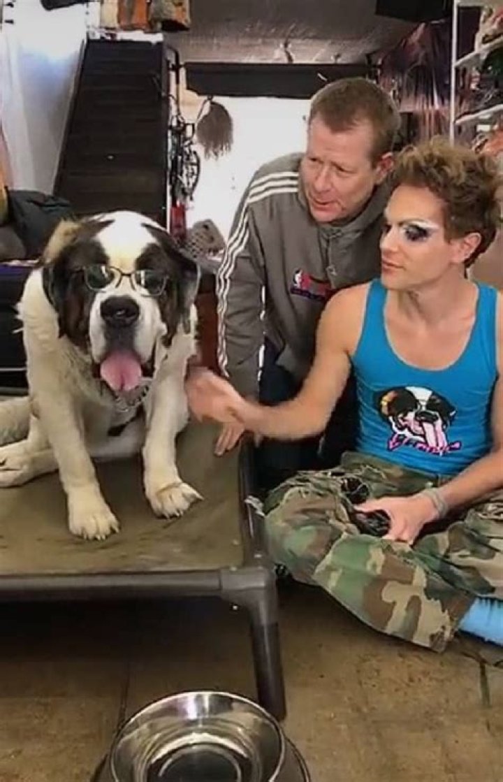 Bruce Bealke Bio, Wiki, Age, Height, Family, Willam Belli and Net Worth.