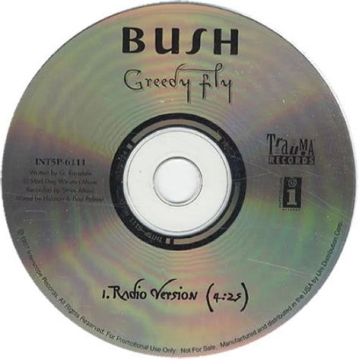 Bush’s
Greedy fly Lyrics