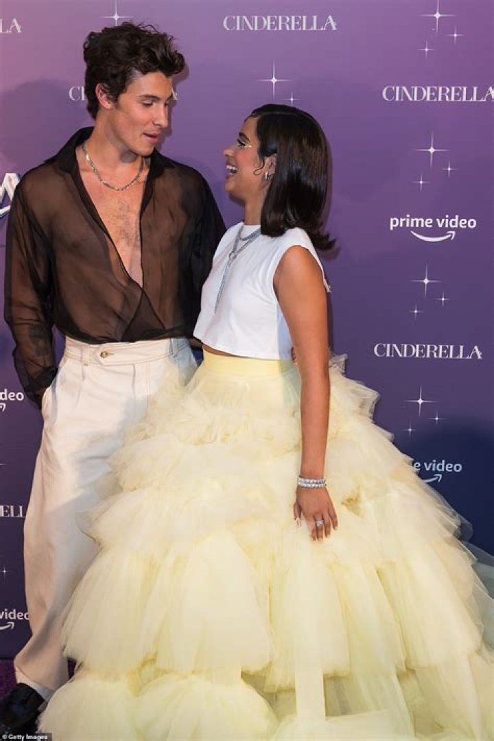 Camila Cabello Seen Out With Lox Club CEO Austin Kevitch After Shawn Mendes Split, Who Is He?