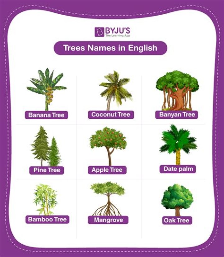 Characteristics of exotic trees