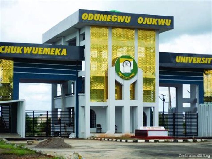 Chukwuemeka Odumegwu Ojukwu’s biography, net worth, fact, career, awards and life story