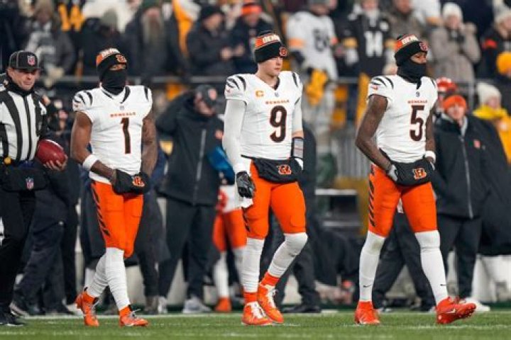 Cincinnati Bengals: Who Are Tee Higgins Parents? Father Eric Higgins And Mother Camillia Stewart