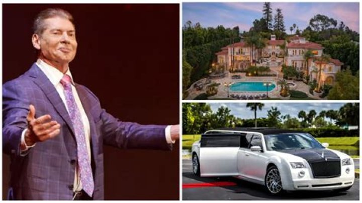 Dale Vince Net Worth, Income, Salary, Earnings, Biography