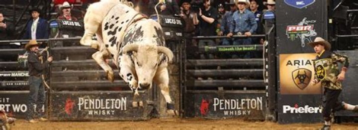 Dalton Kasel Age: How Old Is The Professional Bull Rider?