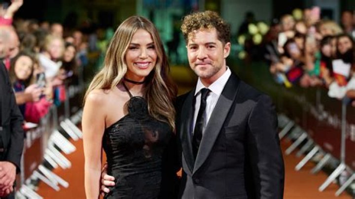 David Bisbal Wife: Meet Rosanna Zanetti