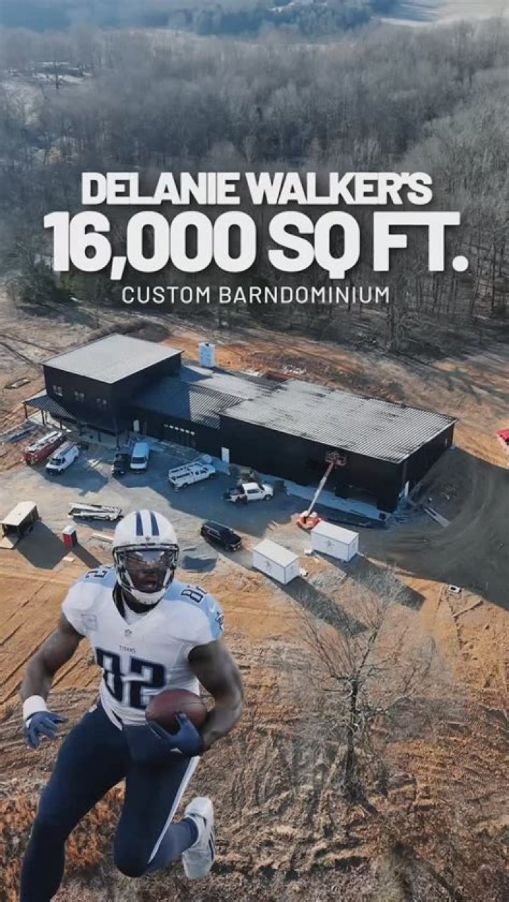 Delanie Walker Biography, Career Stats & Injuries, Scouting Report & Family Facts