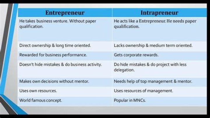 Difference between entrepreneur and intrapreneur