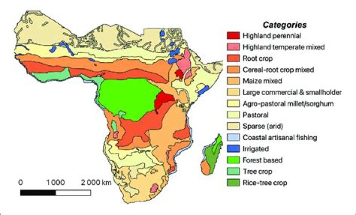 Discuss the main features of rotational bush fallowing in West Africa
(b) Describe the…