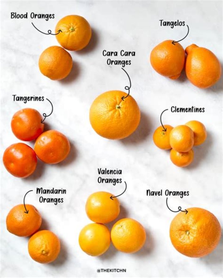 Do possums eat oranges off the tree