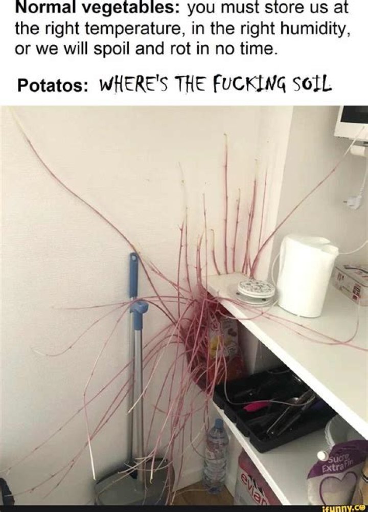 Does Rollie Fingers Have A Cousin Brother? Where Is The Cy Young Award Holder Now?