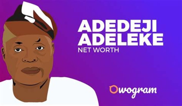 Dr Adedeji Adeleke Net Worth And Biography