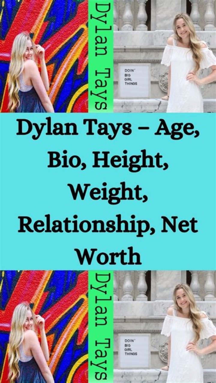 Dylan Tays Net Worth, Income, Salary, Earnings, Biography