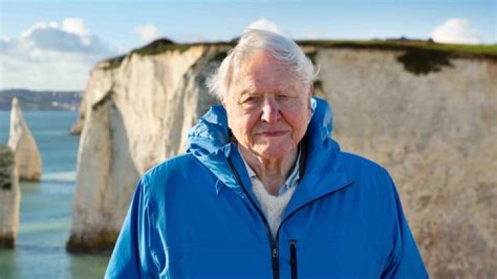 Fact Check: Is David Attenborough Dead Or Alive? Everything On His Wife And Net Worth