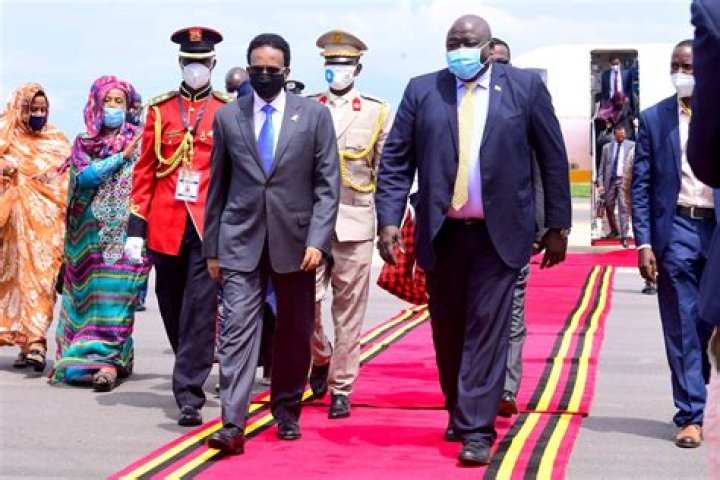 Guinea President Alpha Conde Arrested In A Coup – What Is His Net Worth?