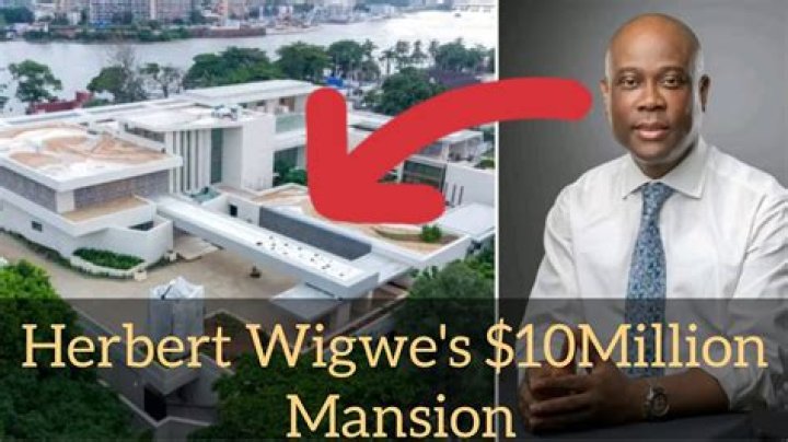 Herbert Wigwe’s biography, net worth, fact, career, awards and life story