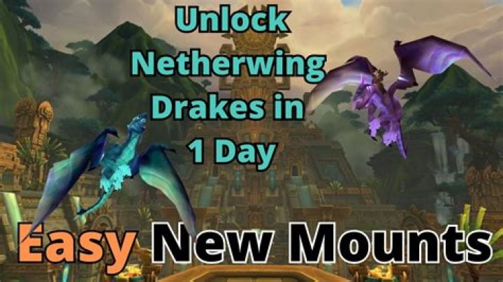 How do you get the netherwing drake mount