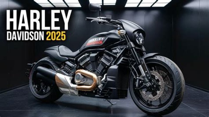How Much Money Does Harley Cross Make? Latest Harley Cross Net Worth Income Salary