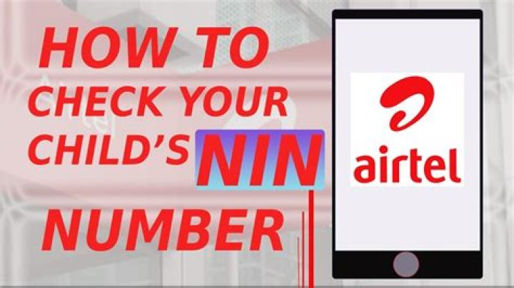 How To Check NIN Number on MTN, Glo, or Airtel