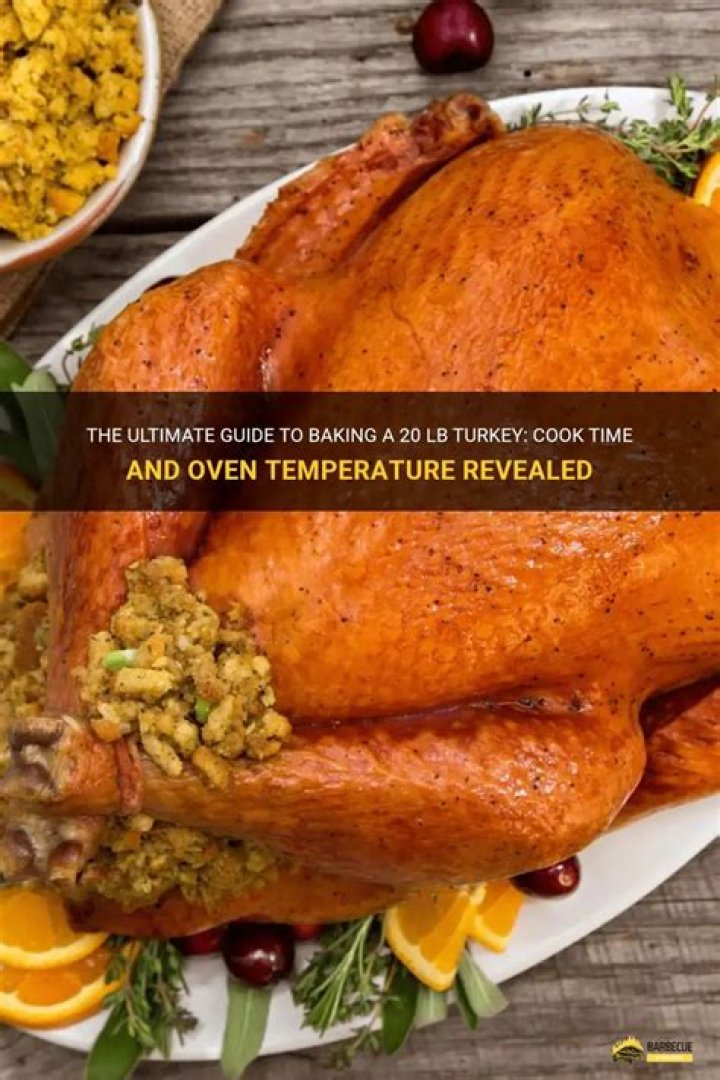 How to cook a 20lb turkey in the oven