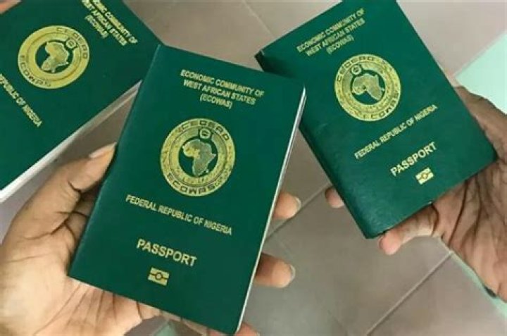 How to Obtain Ecowas ePassport Nigeria Immigration Service (International Passport)
