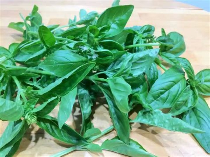 How to preserve green leaves