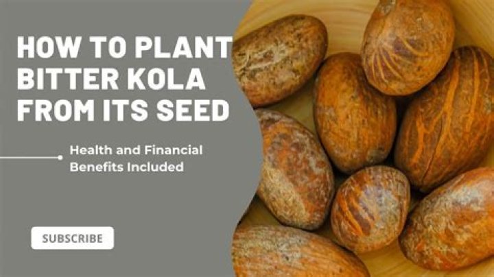 How to preserve kola nut