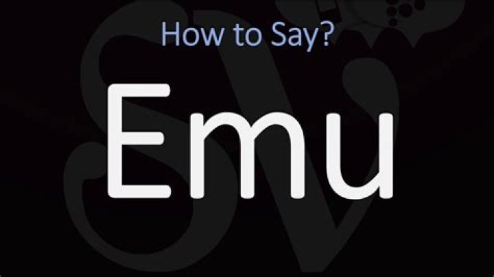 How to pronounce emu