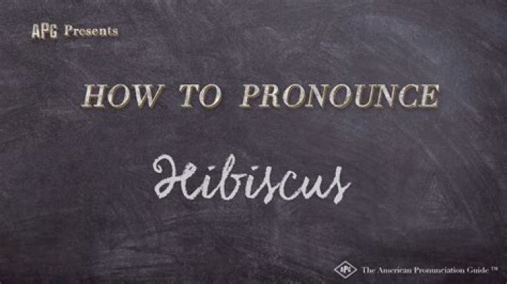How to pronounce hibiscus