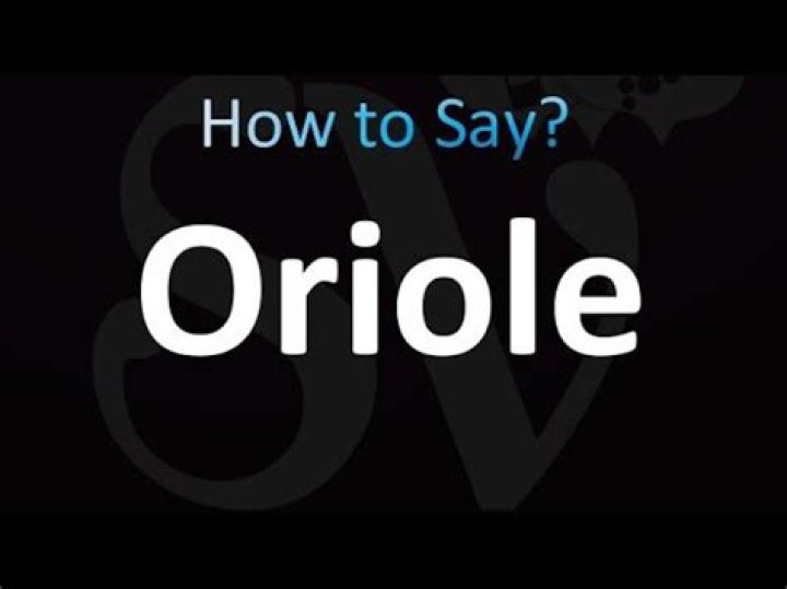 How to pronounce oriole
