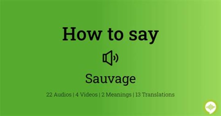 How to pronounce sauvage