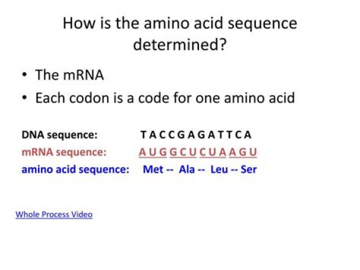 How to write amino acid sequence