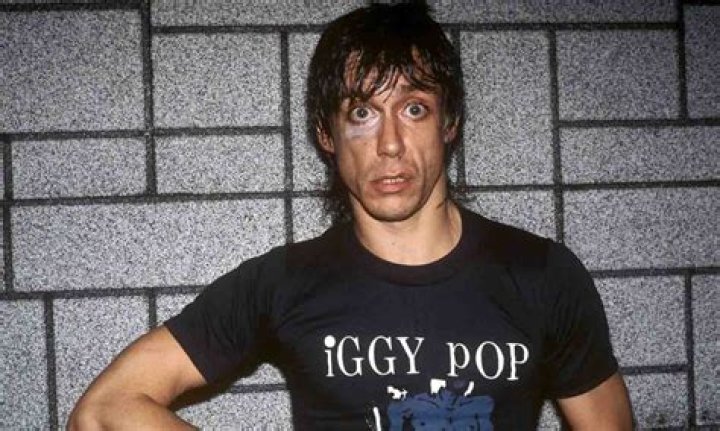 Iggy Pop’s Net Worth, Age, Height, Weight, Wife, Kids, Bio-Wiki