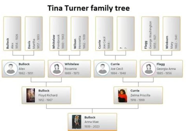 Is Nischelle Turner Related To Tina Turner? Family Tree And Net Worth