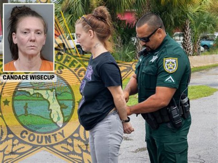 Jeffrey J. Mims Jr Daughter LaDawn Mims Arrested: DUI Charges