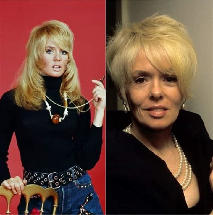Joey Heatherton – Bio, Net Worth, Age, Height, All You Need To Know