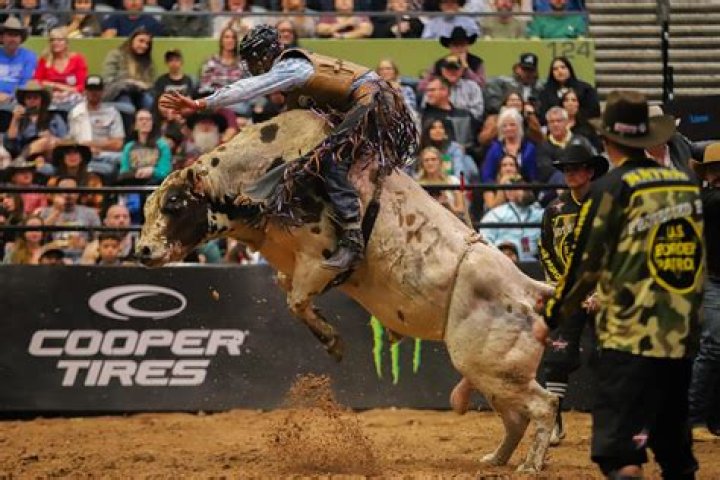 Kyle Jones Bull Rider Wikipedia: Everything On His Wife And Net Worth