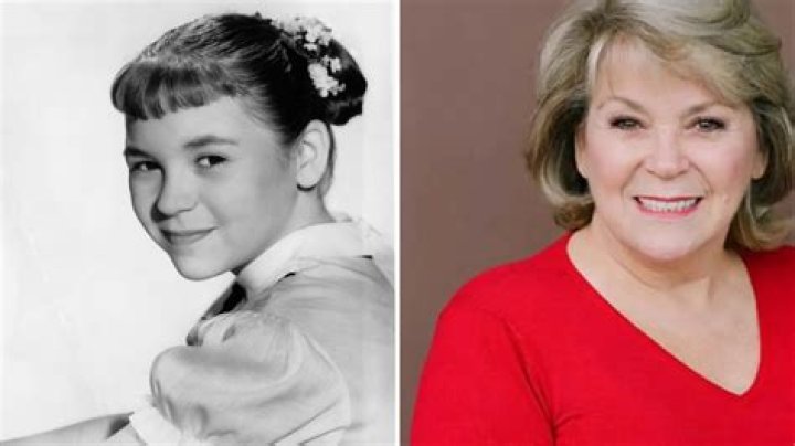 Lauren Chapin’s Net Worth, Biography, Career, Awards, Fact and Life Story