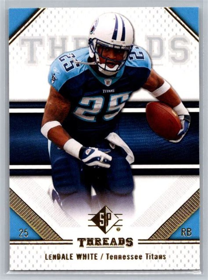 LenDale White Net Worth, Income, Salary, Earnings, Biography