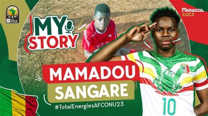 Mamadou Blaise Sangaré’s biography, net worth, fact, career, awards and life story
