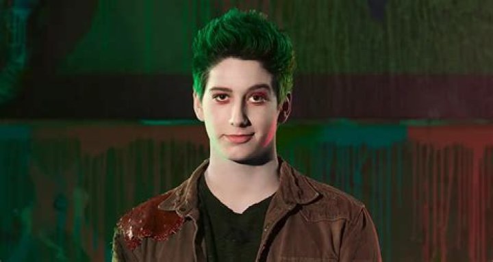 Milo Manheim Biography: Wife, Height, Age, Girlfriend, Net Worth, Movies & TV Shows, Parents