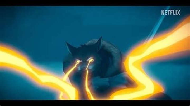 No, Doug Franz Was Not Fired – What Happened To Doug And Wolf Show?