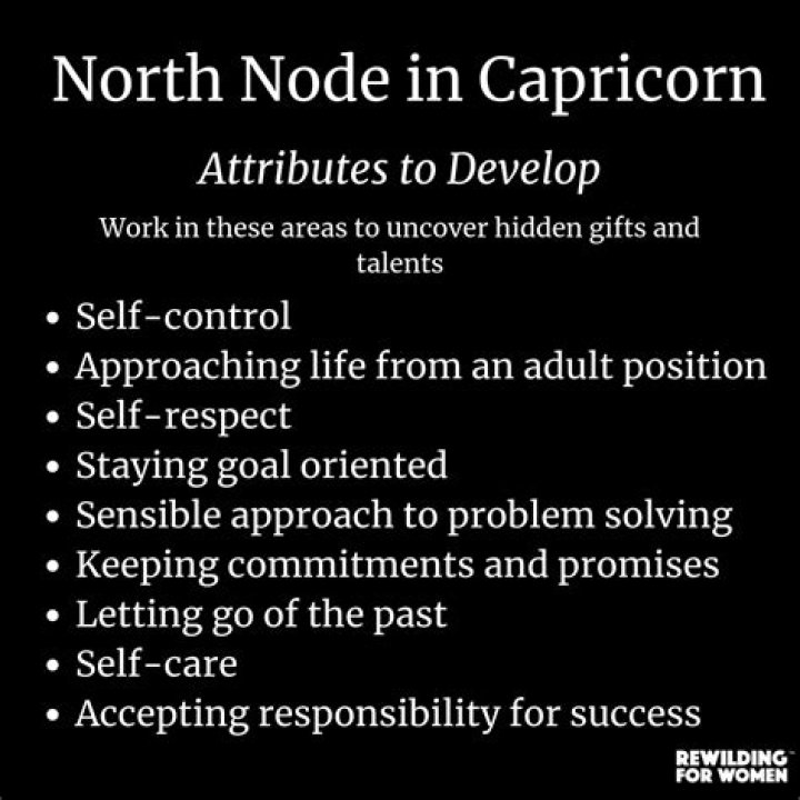 North node in capricorn