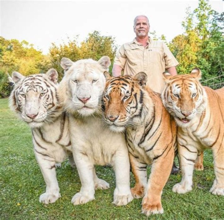 Obituary: Who Is Dianne Ducharme Tiger King? Details To Know About His Death And Connection With Doc Antle