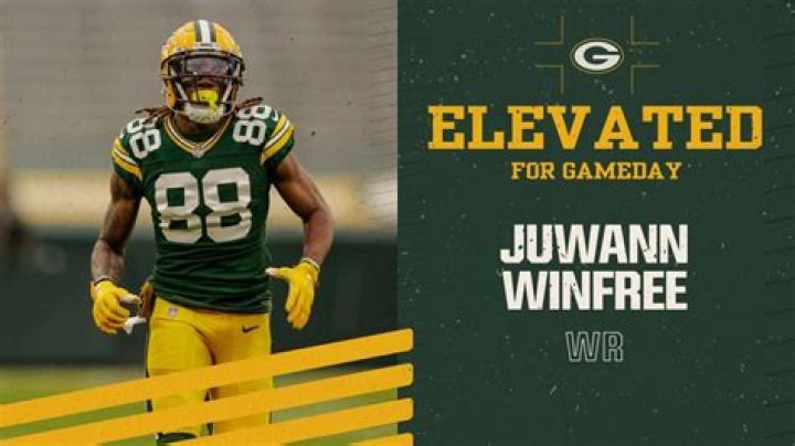 Packers: Who Is Juwann Winfree? Everything On His Parents And Ethnicity
