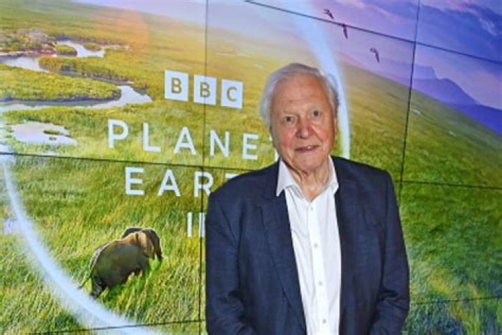 Robert Attenborough: Wiki, Bio, Age, Height, Wife, Facts