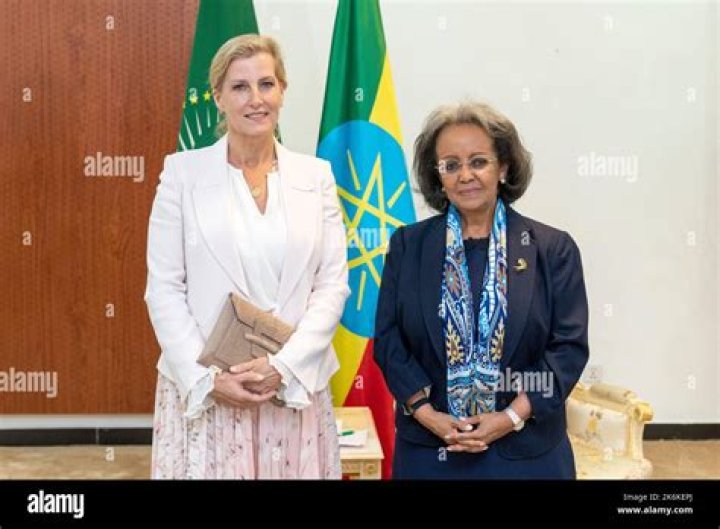 Sahle-Work Zewde (Ethiopian President) Net Worth: Bio, Wiki, Age, Family, Husband and Salary