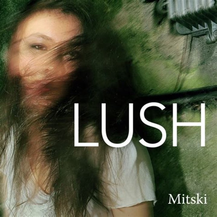 Singer: Who Is Mitski? Real Name Exposed