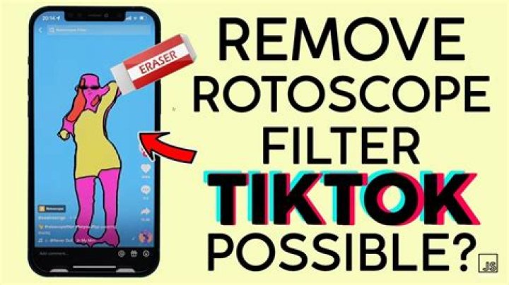 Steps For Download And Removal Of APK Penghilang Filter Rotoscope TikTok